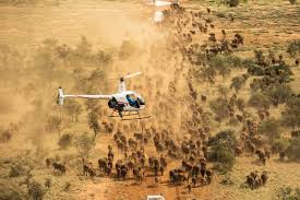 Ngorongoro & Serengeti Helicopter Safari Tanzania
