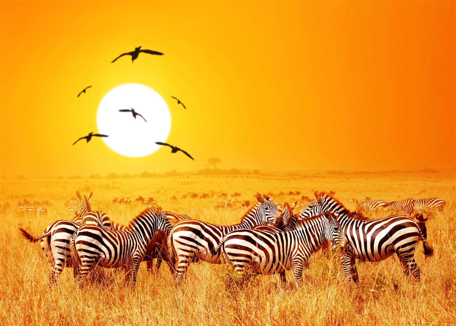 Combo Safaris