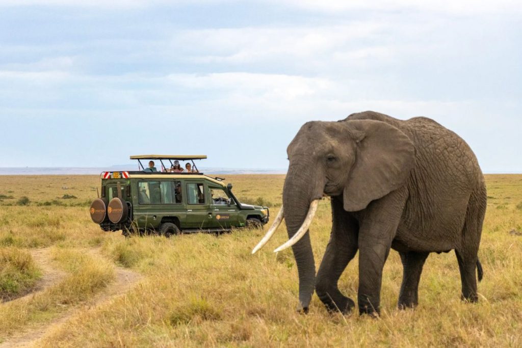 Day 1: Nairobi to Amboseli