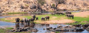 3 Days Tanzania Discovery Safari
