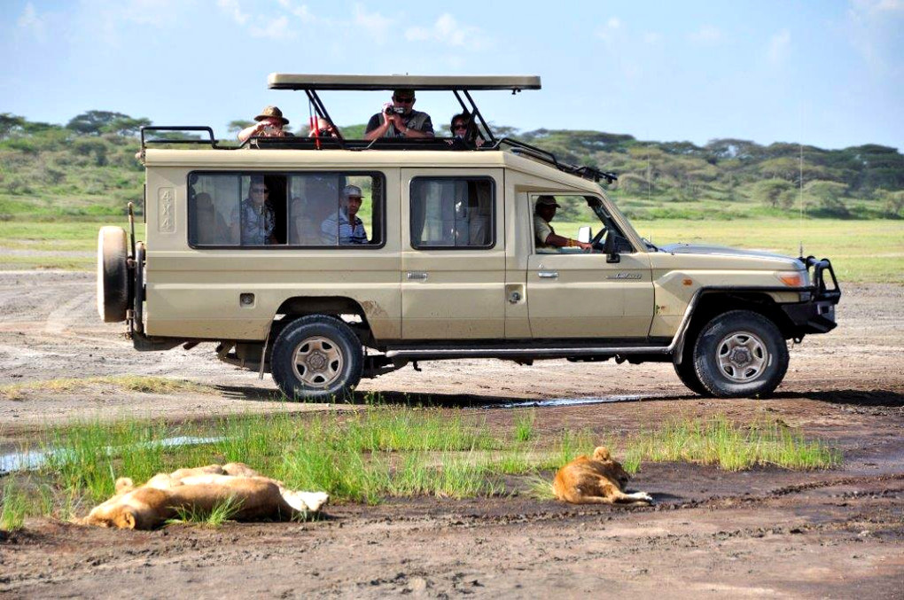 Extended 4×4 Safari Landcruiser