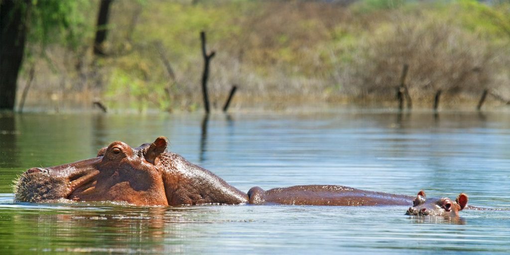 Lake Bogoria Helicopter Safari