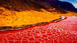 Lake Natron Helicopter Safari
